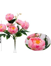 MAZZETTO PEONIE H. 50 CM