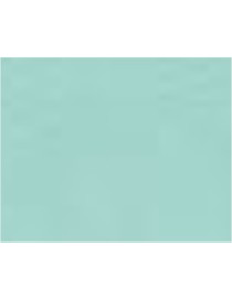 NASTRO RASO 10 MM X 100 MT MENTA 71