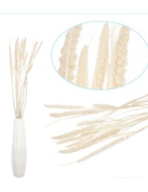 SPIGA DI GRANO BIANCO H. 65 CM