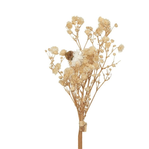 Fiori per bomboniere essiccati  bianco/rosa h. 10 cm