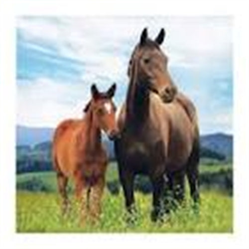 Tovaglioli cavalli e pony 33 x 33 cm 16 pz