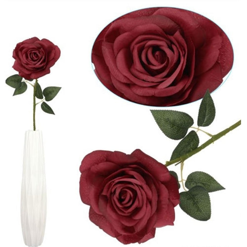 Rosa  h. 65 cm