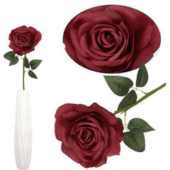Rosa  h. 65 cm