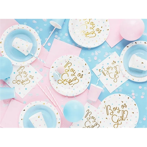Piatti per bambino o bambina, 23 cm. (1 confezione / 6 pezzi)