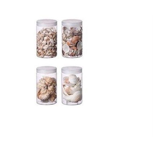 Conchiglie per decorazioni modelli asoortiti 490 gr