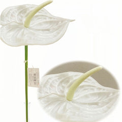 Fiore artificiale anthurium bianco – h. 65 cm