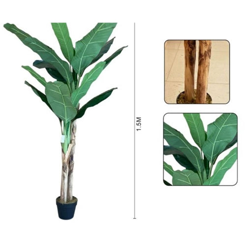 Pianta di banano 1,50 mt