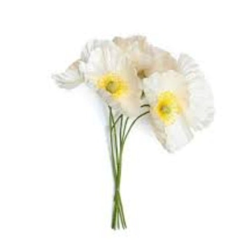 Fiori per bomboniere bianche