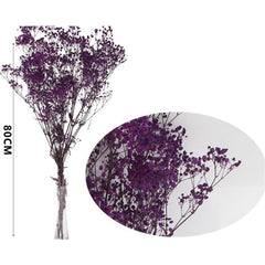 Gypsophila stabilizzata h. 80 cm