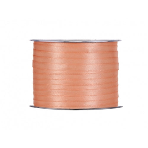 Nastro raso mm 3 x 100 mt pesca 27
