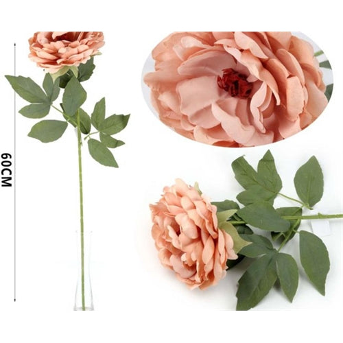 Singola peonia autunnale h. 60 cm
