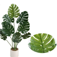 Pianta di monstera h. 100 cm