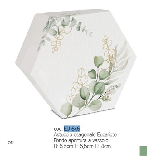 Eucalipto astuccio esagonale 6,5 x 6,5 x 4 cm