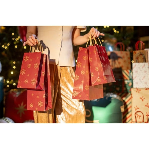 Sacchetti regalo fiocchi di neve e campanelle, 26x32,5x12 cm, rosso e verde