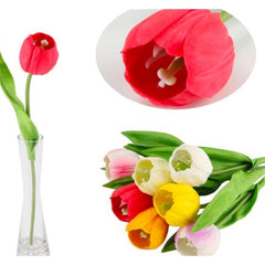 Tulipano h. 30 cm