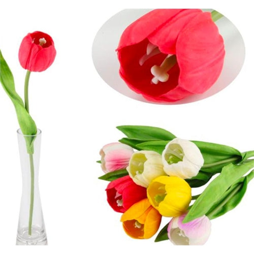 Tulipano h. 30 cm