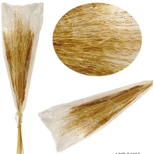 Mazzo di avena secca naturale h.63 cm– colore naturale
