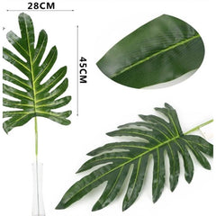 Foglia di philodendron bipinnatifidum h. 73 cm