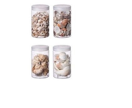 Conchiglie per decorazioni modelli asoortiti 490 gr
