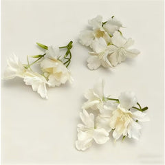 Magnolia conf. 6 pz 7xh. 9,5 cm
