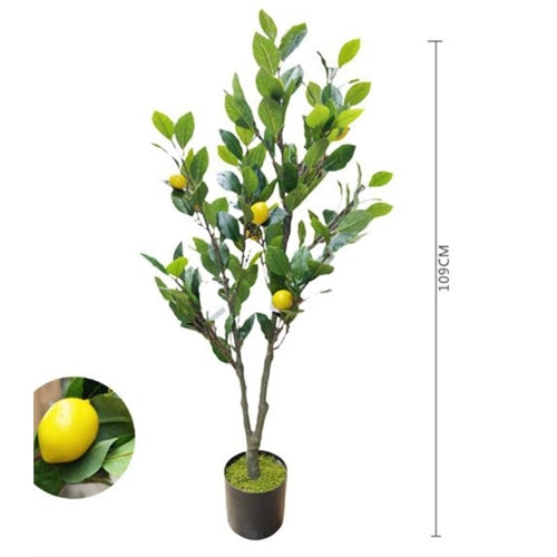Pianta in vaso di limoni h. 109 cm