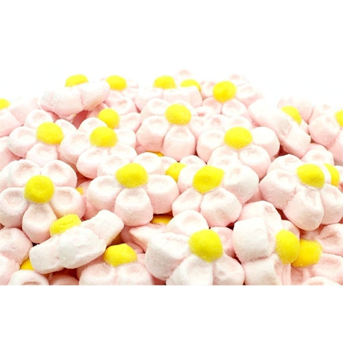 Margherite rosa bulgari 900 gr