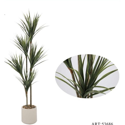 Pianta in vaso h. 150 cm