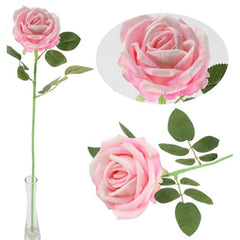 Rosa singola h. 75 cm