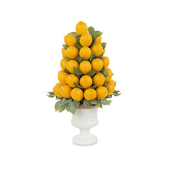 Alzata albero limoni