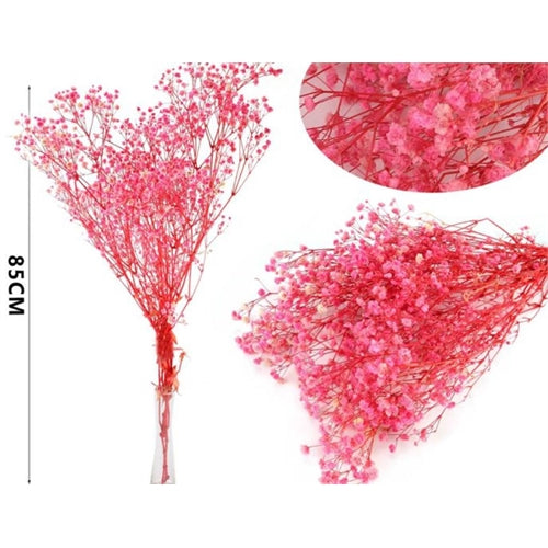 Gipsofila secchi colori assortiti h. 85 cm