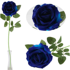 Rosa singola h. 75 cm