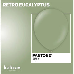 Palloncini kalisan retro eucalyptus 5 "