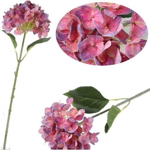 Ortensia rosa sfumata h. 65 cm