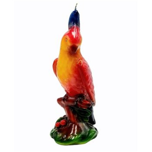 Candele pappagallo giallo/verde/rosso assortiti