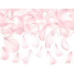 Piume decorative rosa 3 gr