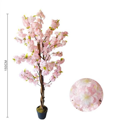 Pianta di ciliegio rosa chiaro h. 150 cm