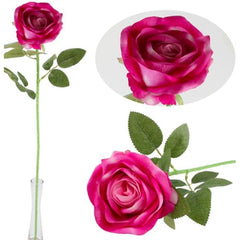 Rosa singola h. 75 cm