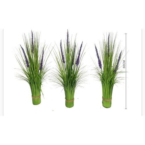 Cespuglio di lavanda h. 60 cm