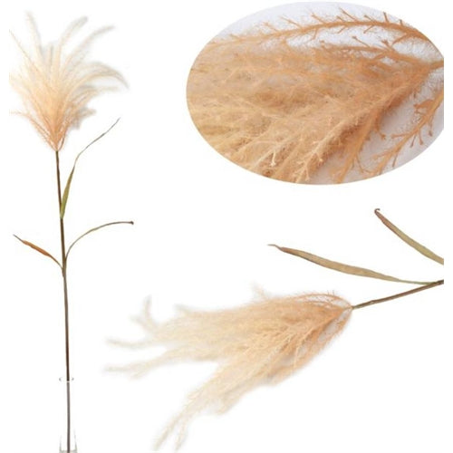 Pampas color caffè h. 124 cm